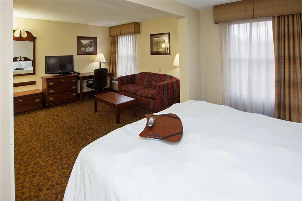Hampton Inn Dickson Servizi foto
